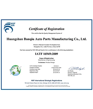 IATF16949-2009